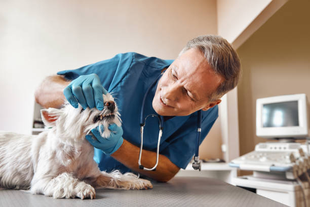 Best Emergency Tooth Extraction in Broadway, VA