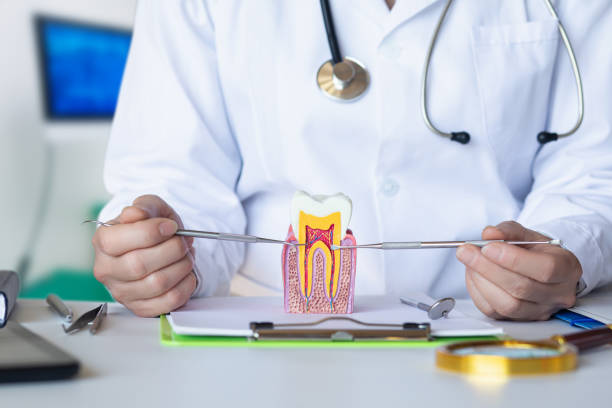 Best Walk-In Emergency Dentist in Broadway, VA